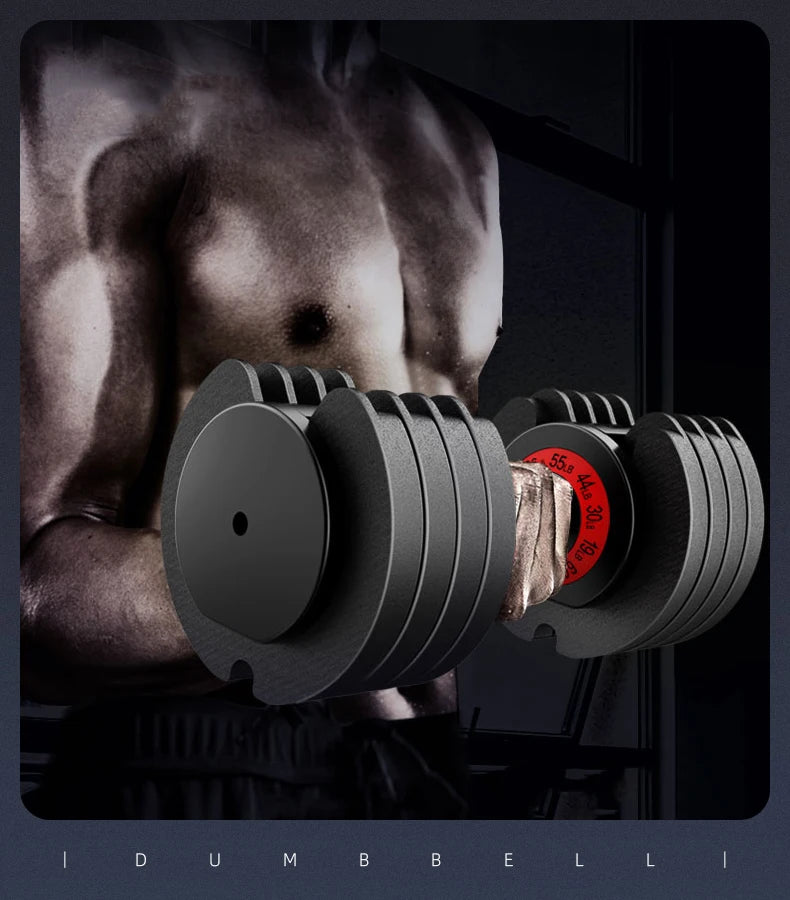 25LB 44LB 55LB 70LB High Quality Weight Training Dumbbells